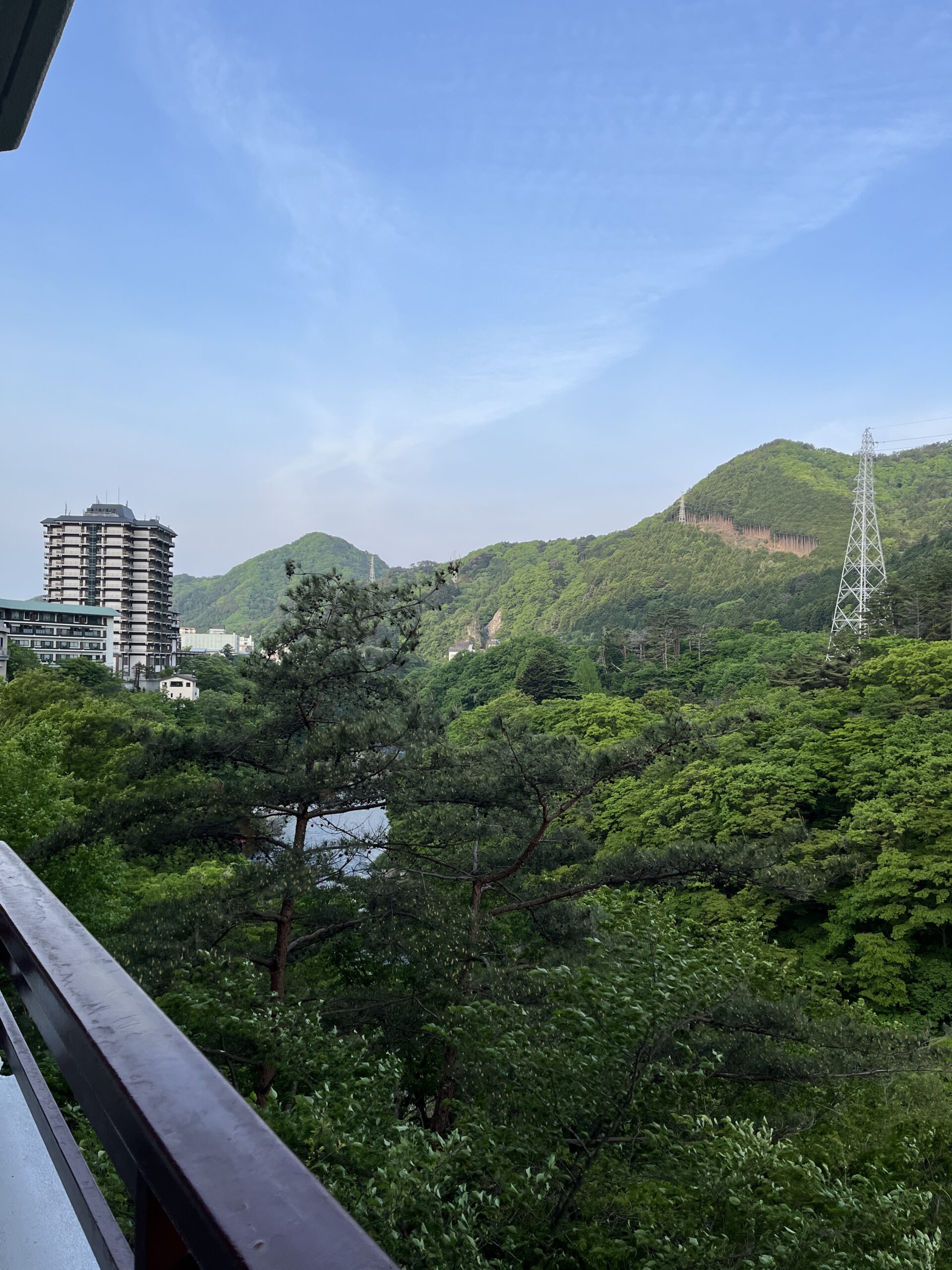itoen-hotel-new-sakura-window-view-3