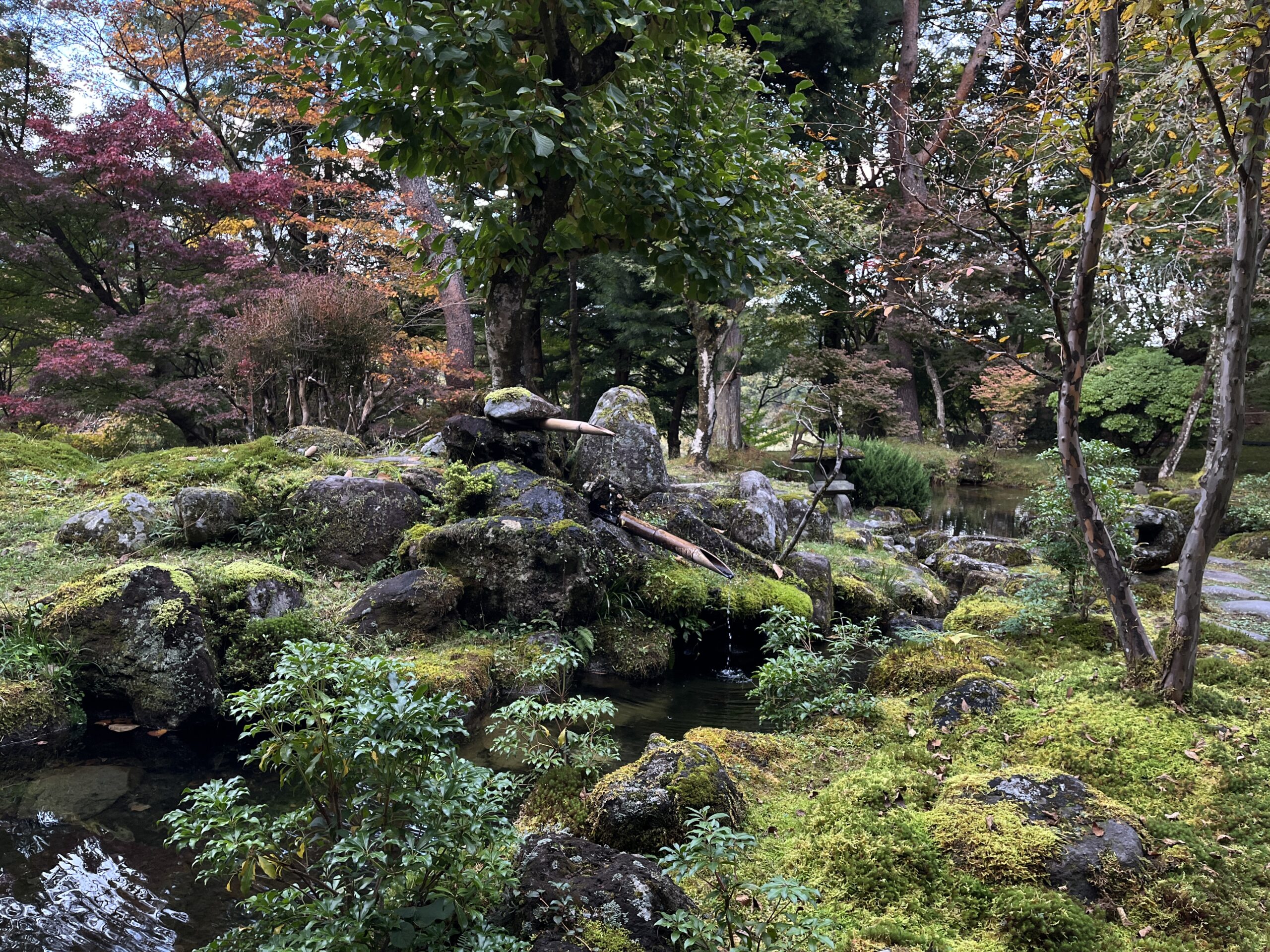 Hoshinoyado Back Garden