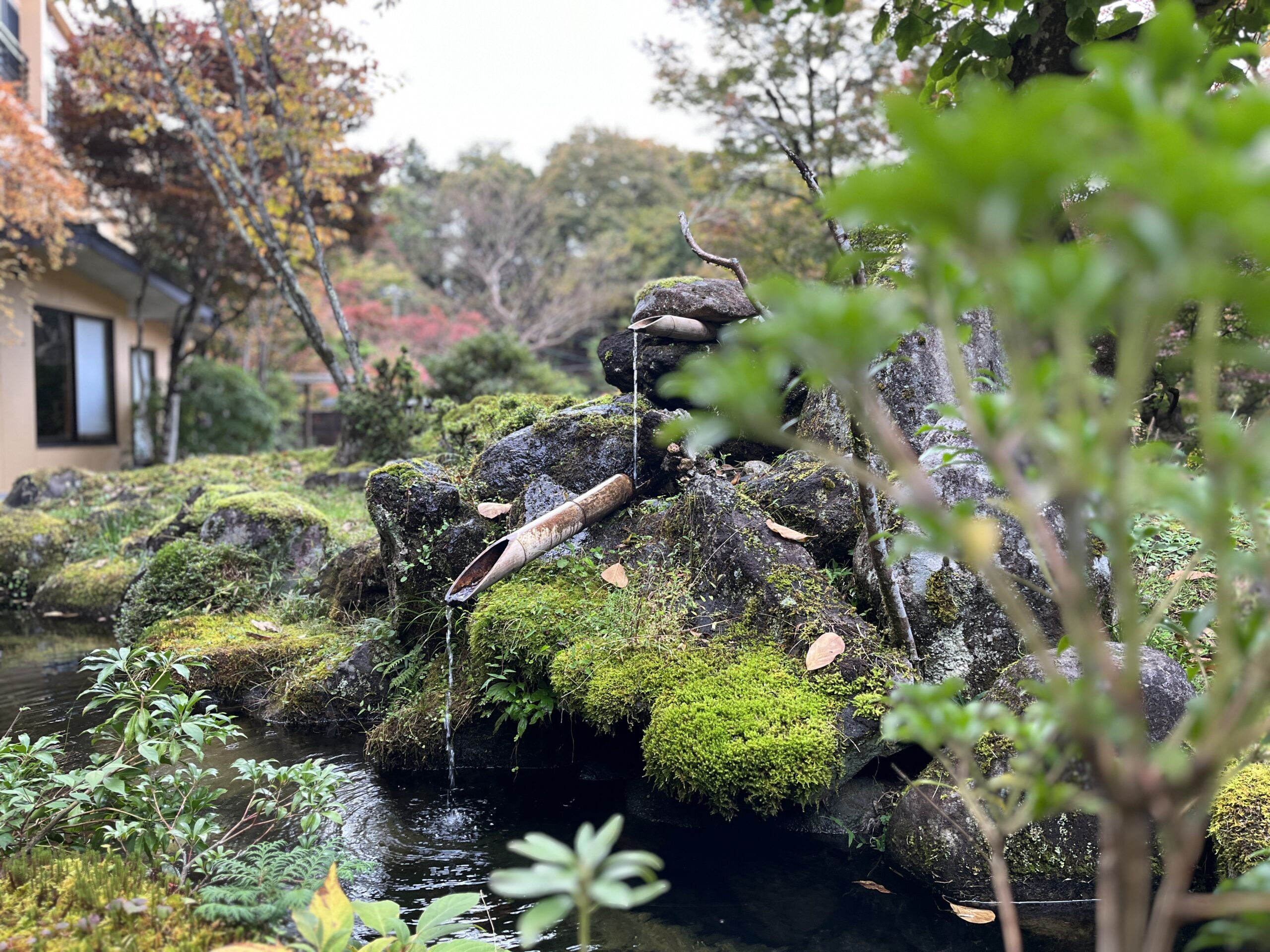 Hoshinoyado Back Garden