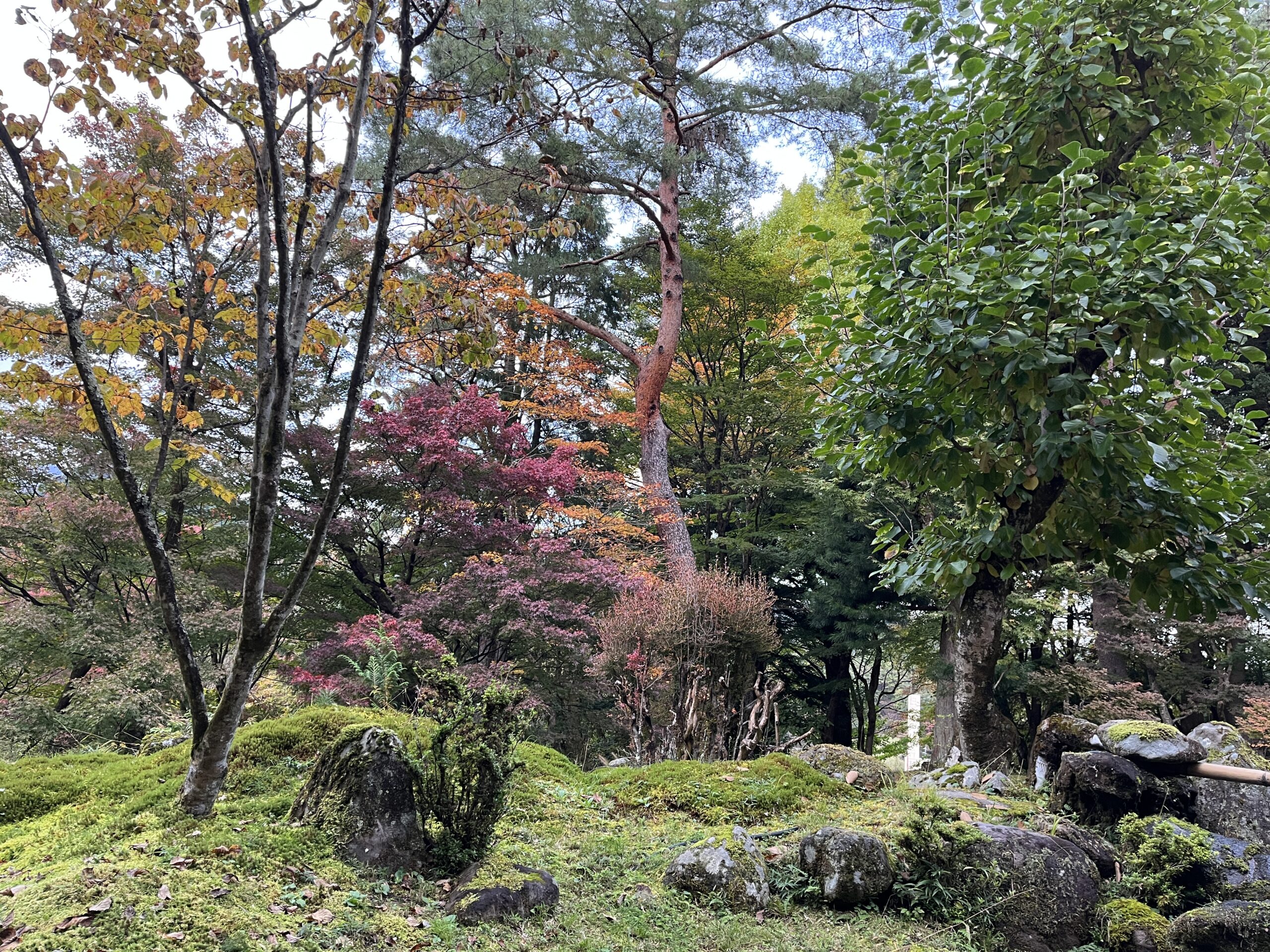 Hoshinoyado Back Garden