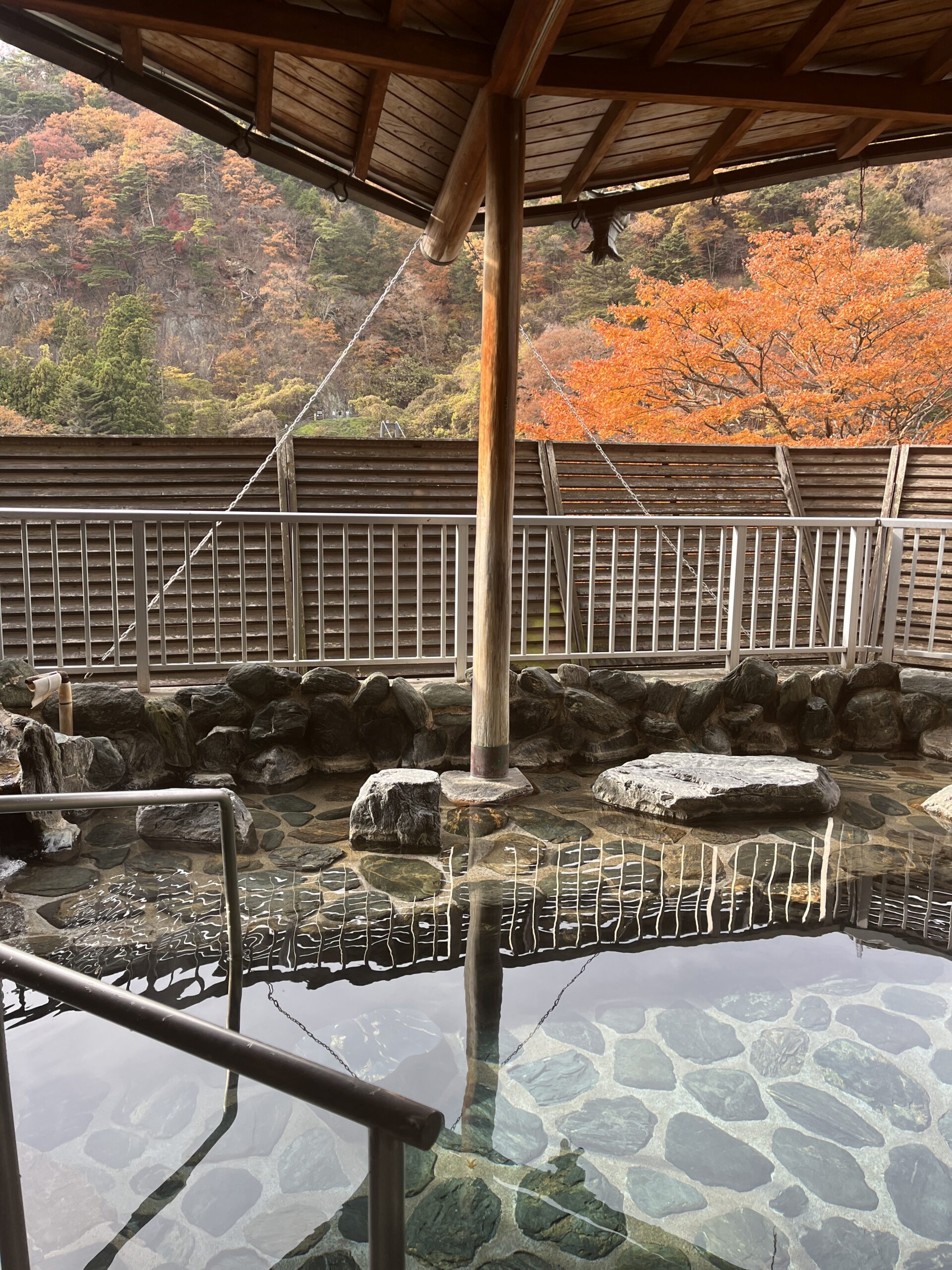 Hotel Sunshine Kinugawa Rotenburo