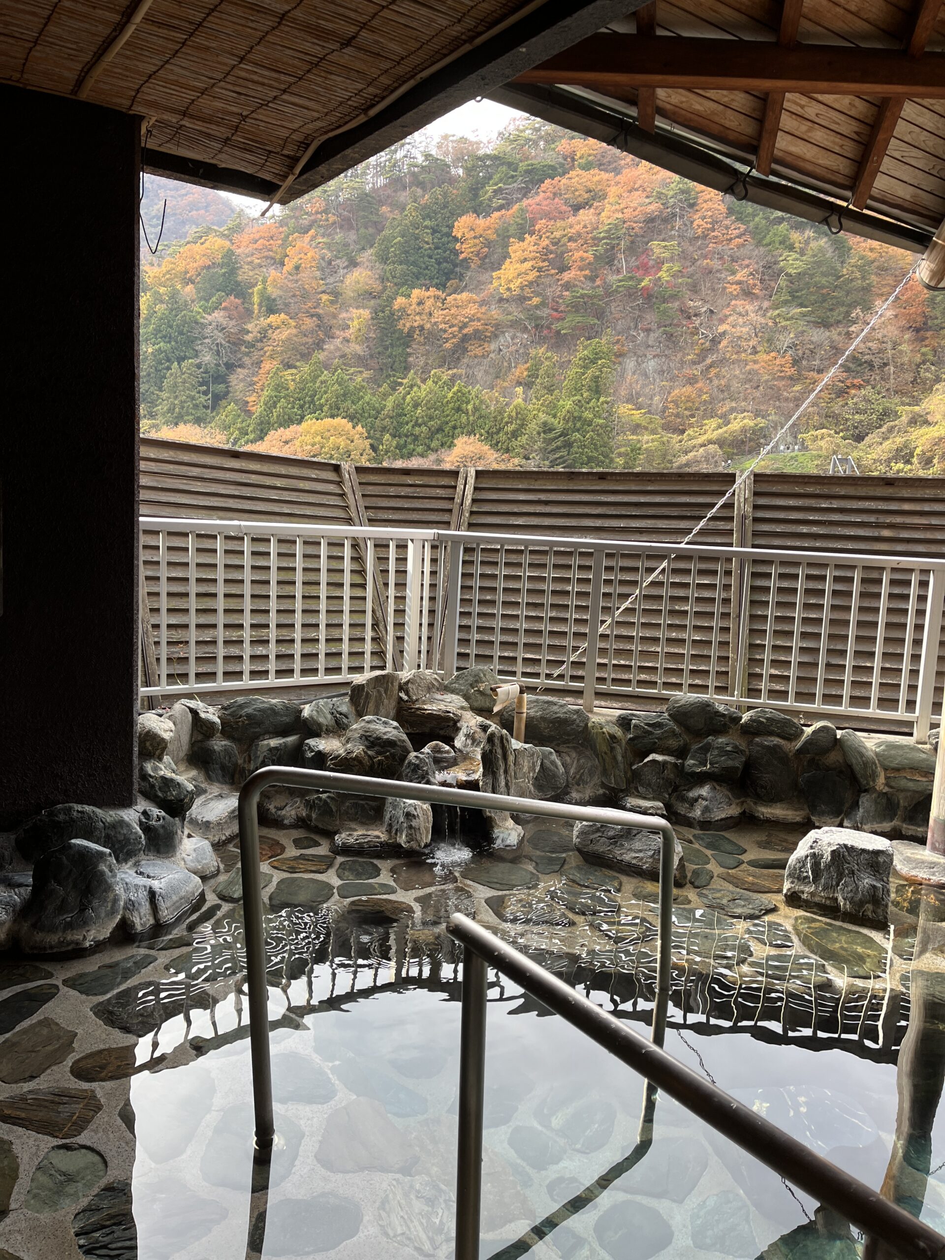 Hotel Sunshine Kinugawa Rotenburo