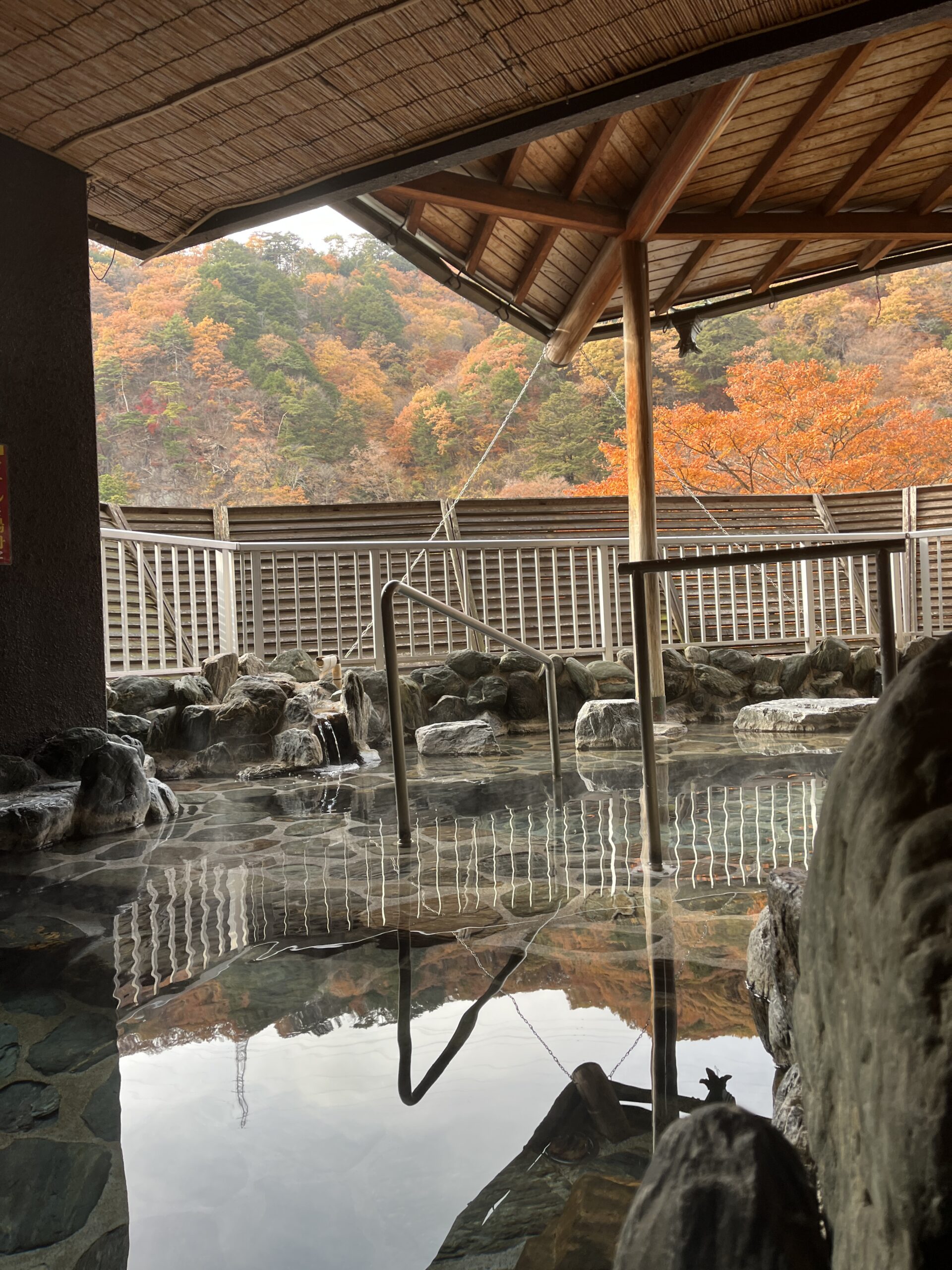 [Review] Hotel Sunshine Kinugawa