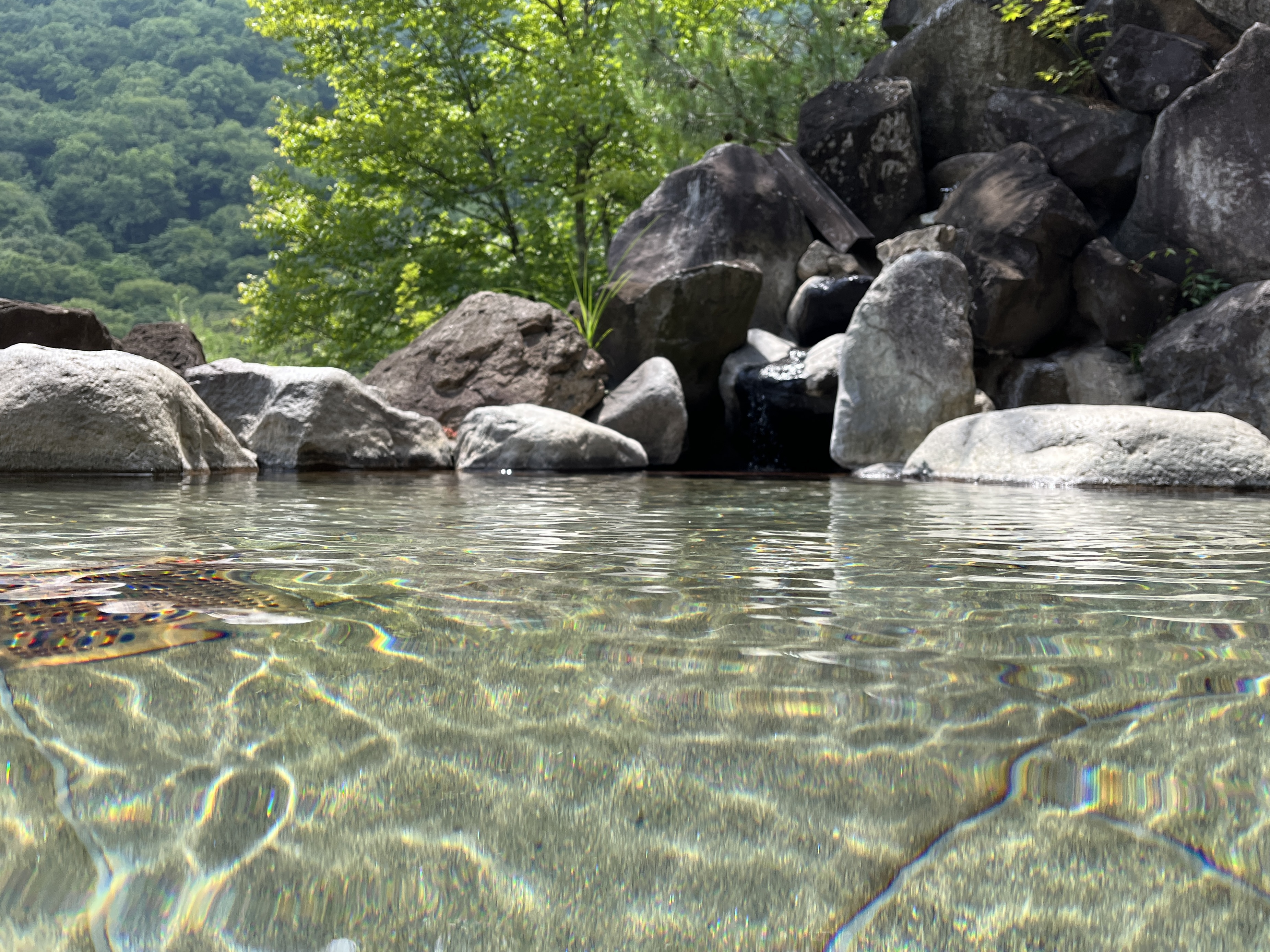 Kajika Rotenburo Water